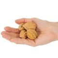 Walnüsse Natur braun 4-5 cm 300 g für Dekoration und DIY | Floristik21.de