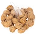 Walnüsse Natur braun 4-5 cm