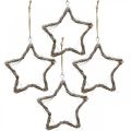 Floristik21 Weihnachtsdeko Stern Ulme Sterne zum Aufhängen Weiß gewaschen 20cm 4St