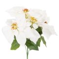 Floristik21 Kunstblume Weihnachtsstern Weiß 40cm Kunststoff und Kunstseide