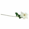 Weihnachtsstern Kunstblume Weiß 67cm | Floristik21.de