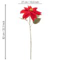 Kunstblume Weihnachtsstern Rot Einzelstiel 82cm Kunststoff | Floristik21.de
