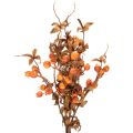 Künstlicher Weißdornzweig 75 cm Braun Orange Innenbereich | Floristik21.de
