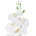 Floristik21 Weiße Orchidee Künstlich Phalaenopsis Real Touch H83cm