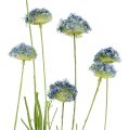 Floristik21 Wiesenblumen Blau L65cm 3St
