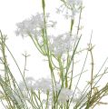 Floristik21 Gartenblumen Weiß L50cm 3St