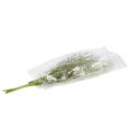 Floristik21 Gartenblumen Weiß L50cm 3St