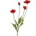 Floristik21 Kunstblume Mohn Rot mit 4 Blüten Klatschmohn H60cm