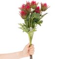 Künstlicher Distelzweig aus Kunststoff rot 67cm 3Blüten für Innenbereich | Floristik21.de
