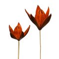 Floristik21 Wildlilie am Stiel Orange 45St