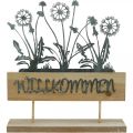 Floristik21 Willkommensschild mit Blumen, Sommer-Deko, Metalldeko mit Pusteblumen, Willkommen