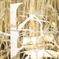 Windlicht Glas 12cm
