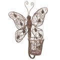 Floristik21 Windlicht Metall Wanddeko Schmetterling Rost Deko 36,5cm