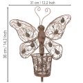 Windlicht Metall Wanddeko Schmetterling Rost Deko 36,5cm | Floristik21.de