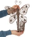 Windlicht Metall Wanddeko Schmetterling Rost Deko 36,5cm | Floristik21.de