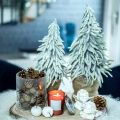 Floristik21 Winter-Tanne im Topf, Weihnachtsdeko, Tannenbaum mit Schnee H45cm