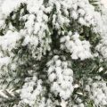 Winterdeko Tannenbaum in Grün Weiß Ø7cm H14cm 4St - Festliche Mini-Weihnachtsbäume | Floristik21.de