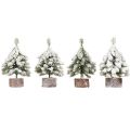 Winterdeko Tannenbaum in Grün Weiß Ø7cm H14cm 4St - Festliche Mini-Weihnachtsbäume | Floristik21.de