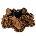 Floristik21 Tannenzapfen Pflanztopf Stern 30 cm naturbraun mit Folie für Herbst- und Weihnachtsdekoration