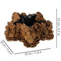 Tannenzapfen Pflanztopf Stern 30 cm naturbraun mit Folie für Herbst- und Weihnachtsdekoration | Floristik21.de