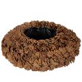 Floristik21 Zapfenschale rund 38 cm Pflanzgefäß Naturbraun Tannenzapfen