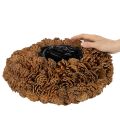 Zapfenschale rund 38 cm Pflanzgefäß Naturbraun Tannenzapfen | Floristik21.de