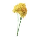Floristik21 Zierlauch Wilder Allium künstlich Gelb 70cm 3St