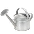 Floristik21 Zink-Gießkanne Vintage Deko 27cm - Pflanzkanne für Garten und Terrasse, Metall Blumenkübel