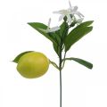 Deko Zweig Zitrone und Blüten Kunstzweig Sommerdeko 26cm 4St