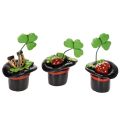 Floristik21 Glücksfiguren-Set Kleeblatt und Käfer im Zylinder, 7 cm, 3 Stück, Kunststoff, Schwarz/Grün/Rot