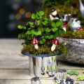 Floristik21 Zylinder zum Bepflanzen, Neujahr, Deko-Hut, Silvesterdeko Silbern H6,5cm L12cm 9St