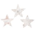 Floristik21 Birkensterne Mini 2cm - 2,5cm weißgewaschen 150 St