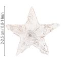 Birkensterne Mini 2cm - 2,5cm weißgewaschen 150 St | Floristik21.de