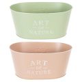 Blumenschale oval Zink 27×18cm H12,5cm Verschiedene Farben | Floristik21.de