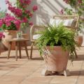 Blumentopf-Füße Ton 7cm Umbra 3er-Set für Balkon und Terrasse | Floristik21.de