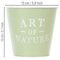 Blumentopf Zink Mintgrün Ø15cm H13,5cm | Floristik21.de