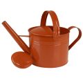 Metall Deko Gießkanne im Landhausstil Orangebraun 26cm 5L - Vielseitig einsetzbar als Pflanzgefäß & Dekokanne | Floristik21.de