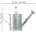 Deko Gießkanne Retro Design Metall Silber 42x15,5x27cm Vintage Balkondeko Blumentopf | Floristik21.de