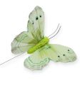 Floristik21 Deko-Schmetterling am Draht Grün 8cm 12St