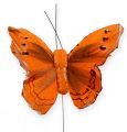 Floristik21 Deko-Schmetterling am Draht Orange 8cm 12St