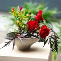 Floristik21 Dekoschale mit Fuß grau Ø19cm H8cm - Vielseitige Pflanzschale