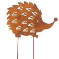 Floristik21 Gartenstecker Igel Rost Edelrost Deko Beetstecker 20cm