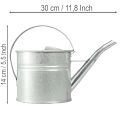 Vintage Deko Gießkanne Metall Silber 1,25l Pflanzgefäß | Floristik21.de