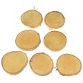 Holzscheiben mit Rinde Birkenscheibe Natur Ø9-10cm 7 St | Floristik21.de