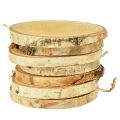 Floristik21 Holzscheiben mit Rinde Birkenscheibe Natur Ø9-10cm 7 St