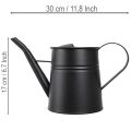 Schicke Kleine Deko Gießkanne Schwarz Metall 30x13x17cm 1,7l Pflanzgefäß Wohnung Balkon Dekoration | Floristik21.de