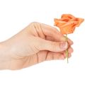 Künstliche Rose Orange 5cm Blüte 10cm Stiel Schaumstoff 100 Stück | Floristik21.de