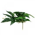Künstliche Begonien Kunstpflanze Grün, Dunkelgrün 42×28cm