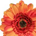 Floristik21 Künstliche Gerbera Blume, Kunstblume Orange Ø11cm 50cm