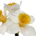 Floristik21 Künstliche Narzissen Seidenblumen Weiß Osterglocke 40cm 3St